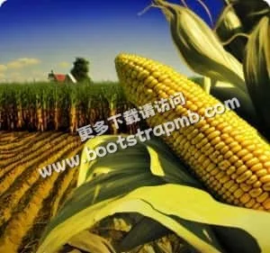 安全下载，极速体验 - 开云体育APP