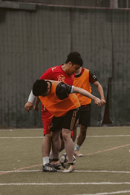 护网内