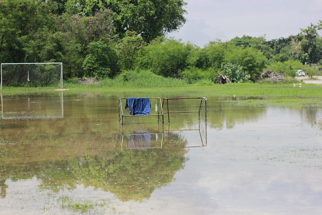 欧洲最佳中 欧洲最佳中