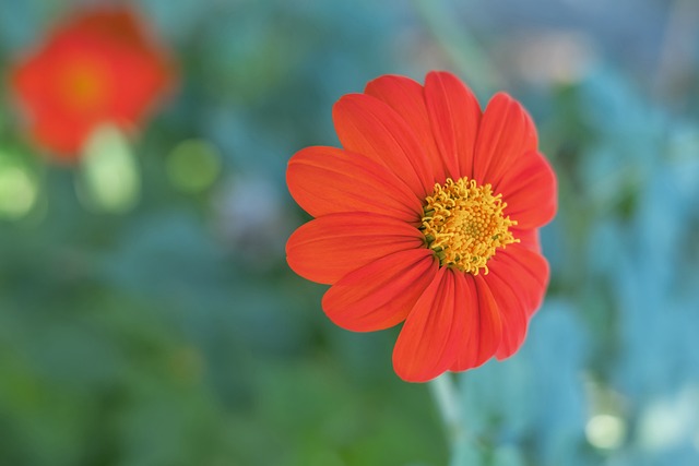 为球迷和业 为球迷和业