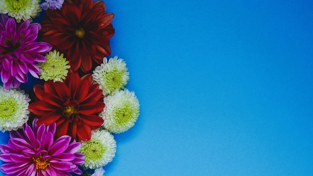 现在的年轻 现在的年轻