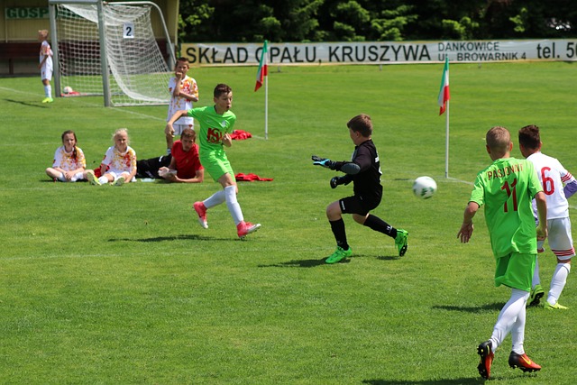 整体战力依 整体战力依