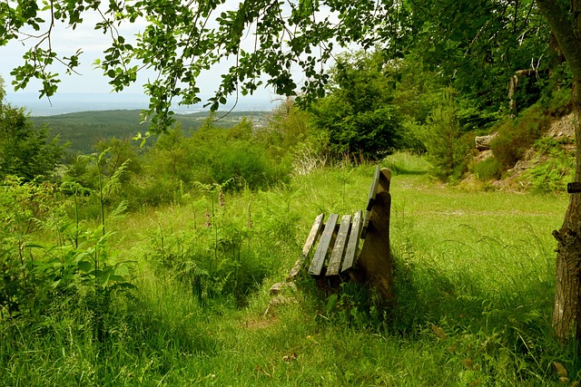 篮球界不乏 篮球界不乏