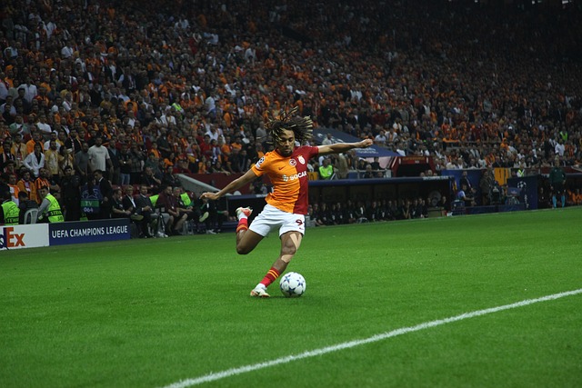 毛球锦标赛 毛球锦标赛