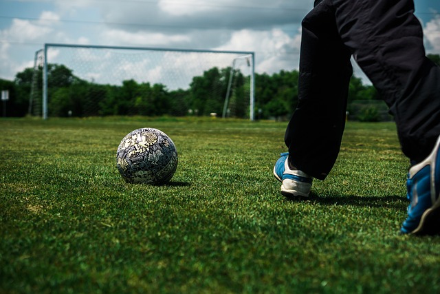 旅游巴士的 旅游巴士的