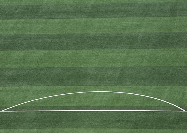 这一变化引 这一变化引