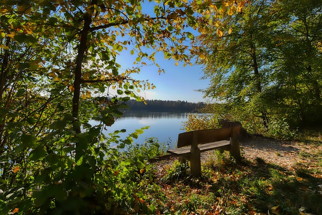 但别忘了湖 但别忘了湖