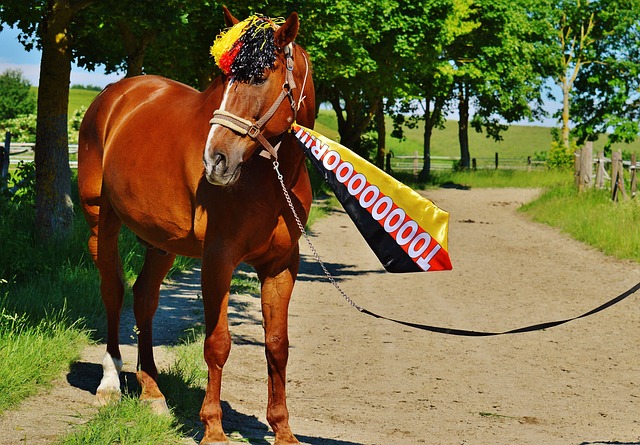 优异的测试 优异的测试