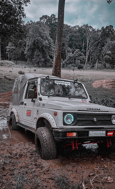 通过此次与 通过此次与