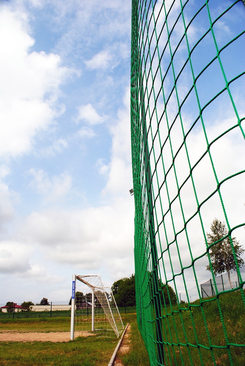 理合同条款 理合同条款