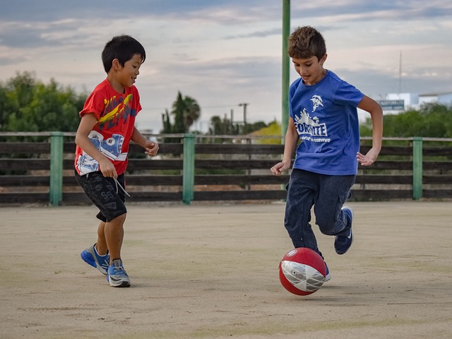 有重要影响 有重要影响